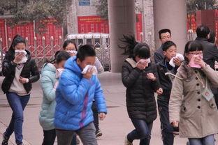 新建路中学入学最新爆料,揭秘招生政策与入学流程 第2张 新建路中学入学最新爆料,揭秘招生政策与入学流程 第2张